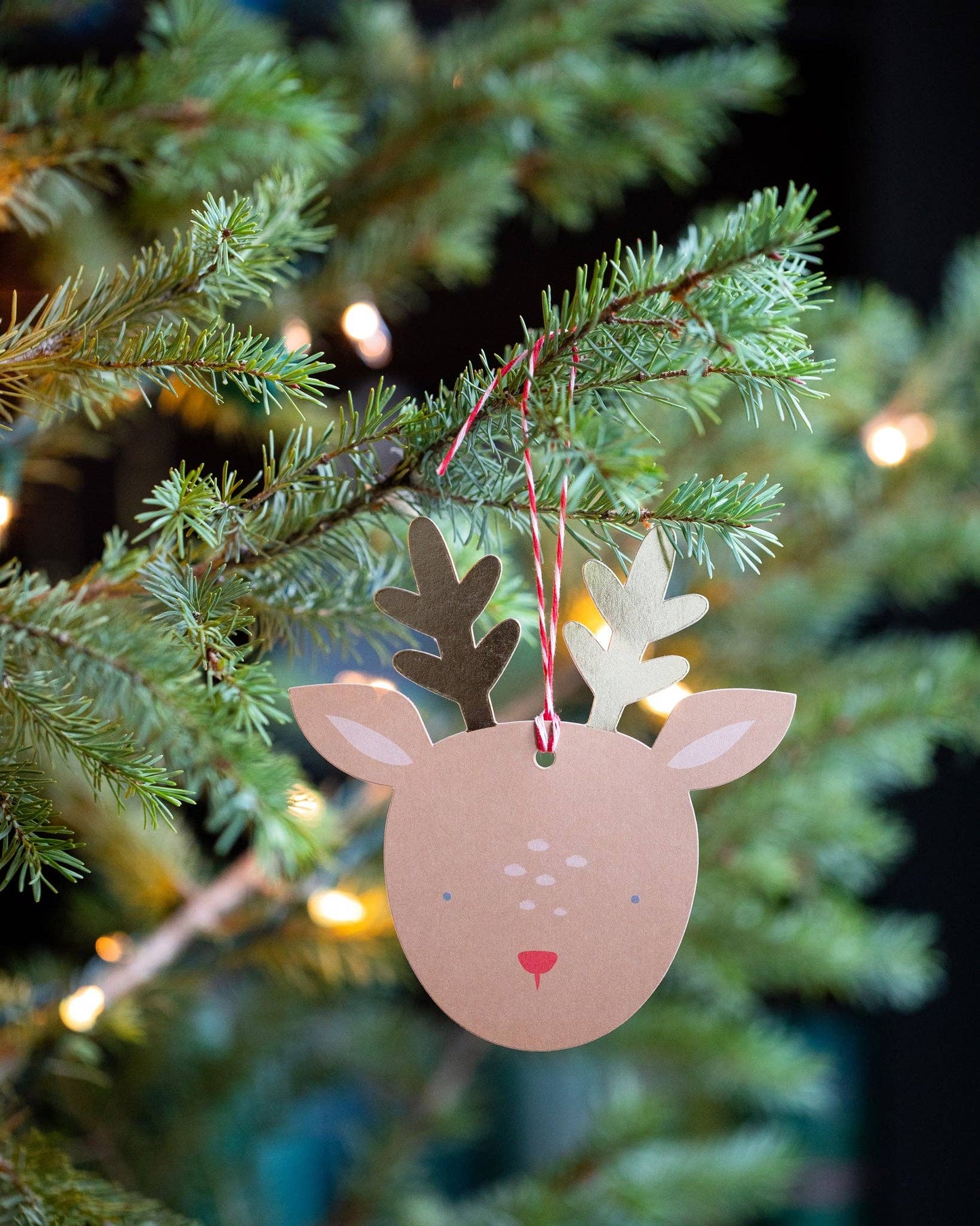 Dear Rudolph Reindeer Oversized Tags