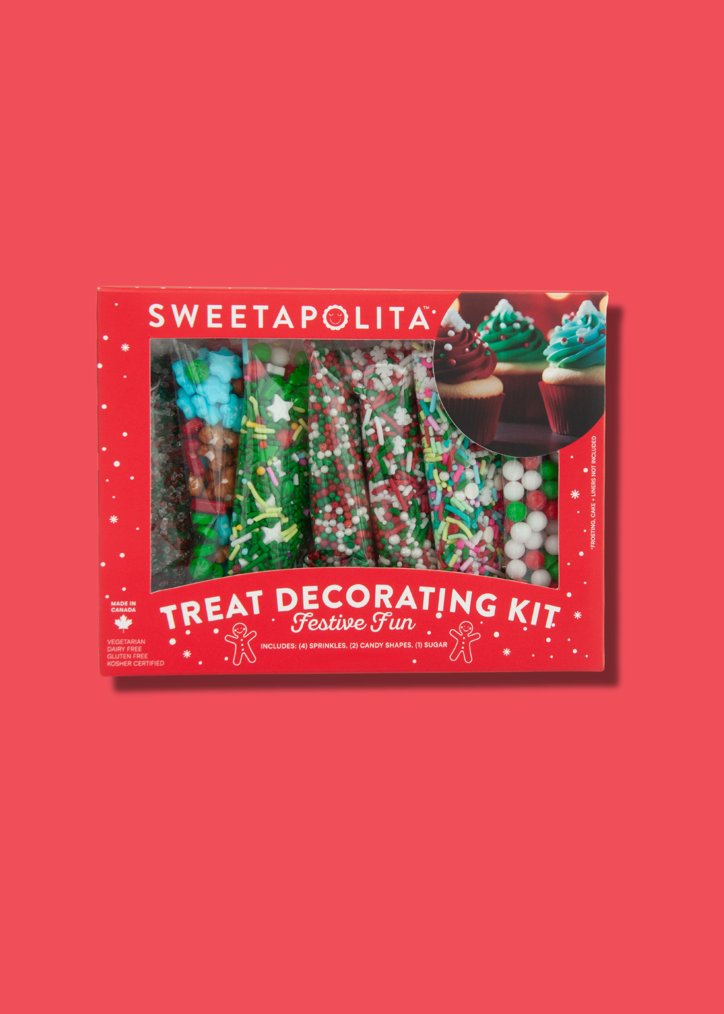 FESTIVE FUN DECORATING KIT