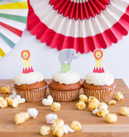 Carnival Cupcake Kit