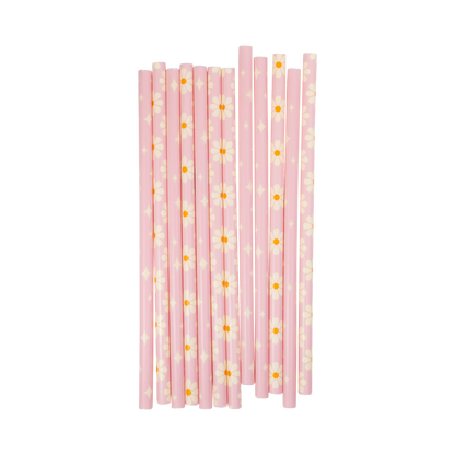 Disco Daisy Reusable Straws