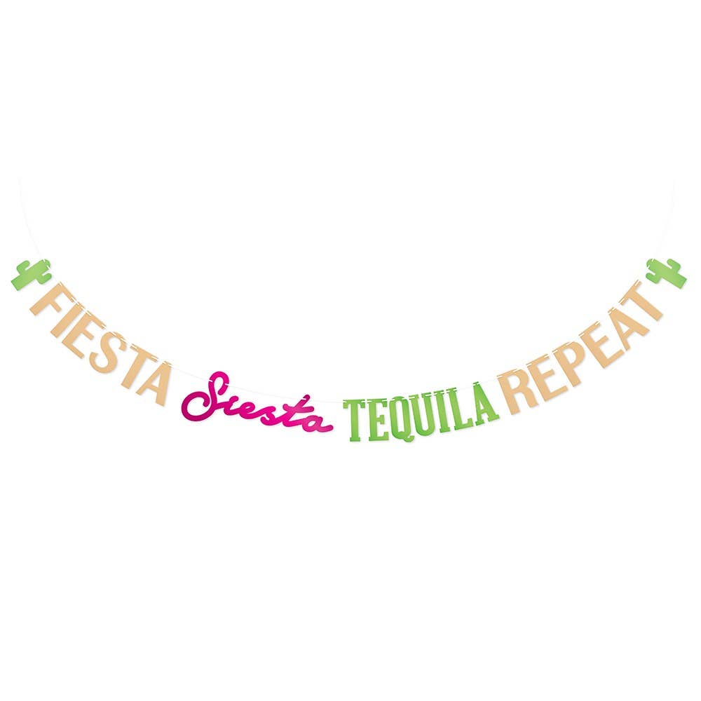 Fiesta Siesta Tequila Repeat Party Banner